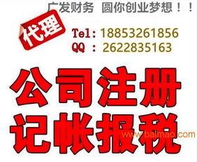 小公司代理記賬 選擇、服務廠家與價格解析